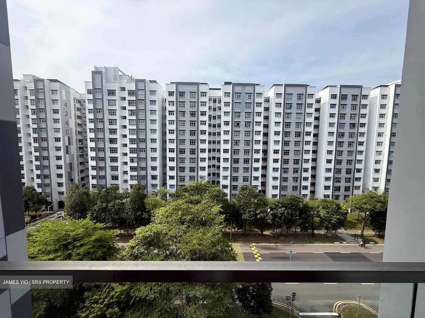 The Canopy (D27), Condominium #581202161